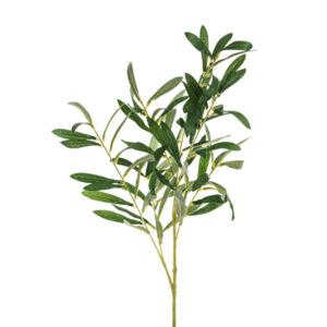 Olive branch 91cm