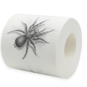 Toilet paper Spider