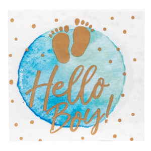 Paper napkins Hello Boy 20pcs