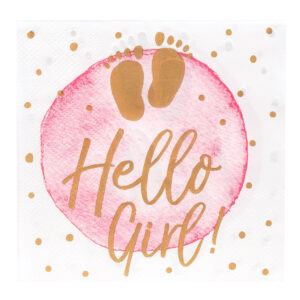 Paper napkins Hello Girl 20pcs