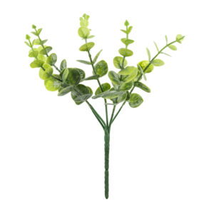Small bouquet of branches - Eucalyptus, 27 cm