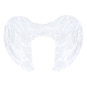 Angel wings white 54x37cm