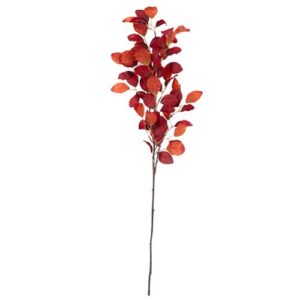 Autumn Beech Branch