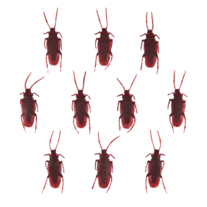 Halloween decoration Cockroaches 10pcs.