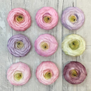 Karen Davies Silicone Mould Buttercream Flowers