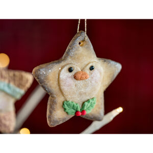 Karen Davies Silicone Mould Star Penguin