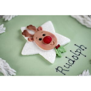 Karen Davies Silicone Mould Star Reindeer