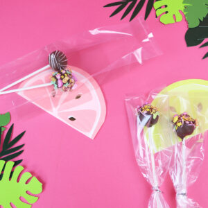 PME Cake Pop Bags pk/25