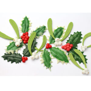 Katy Sue Silicone Mould Holly & Mistletoe by Nicholas Lodge