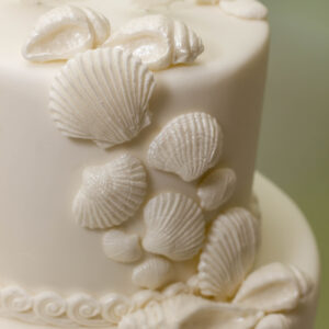 Katy Sue Silicone Mould Seashells