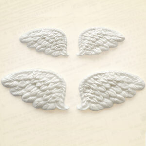 Katy Sue Silicone Mould Wings