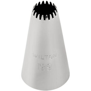 Wilton Decorating Tip Open Star #199