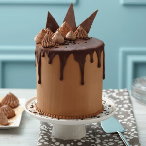 Wilton Small & Tall Cake Pan set/2