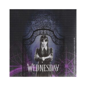 PACK 20 PAPER NAPKINS WEDNESDAY ©